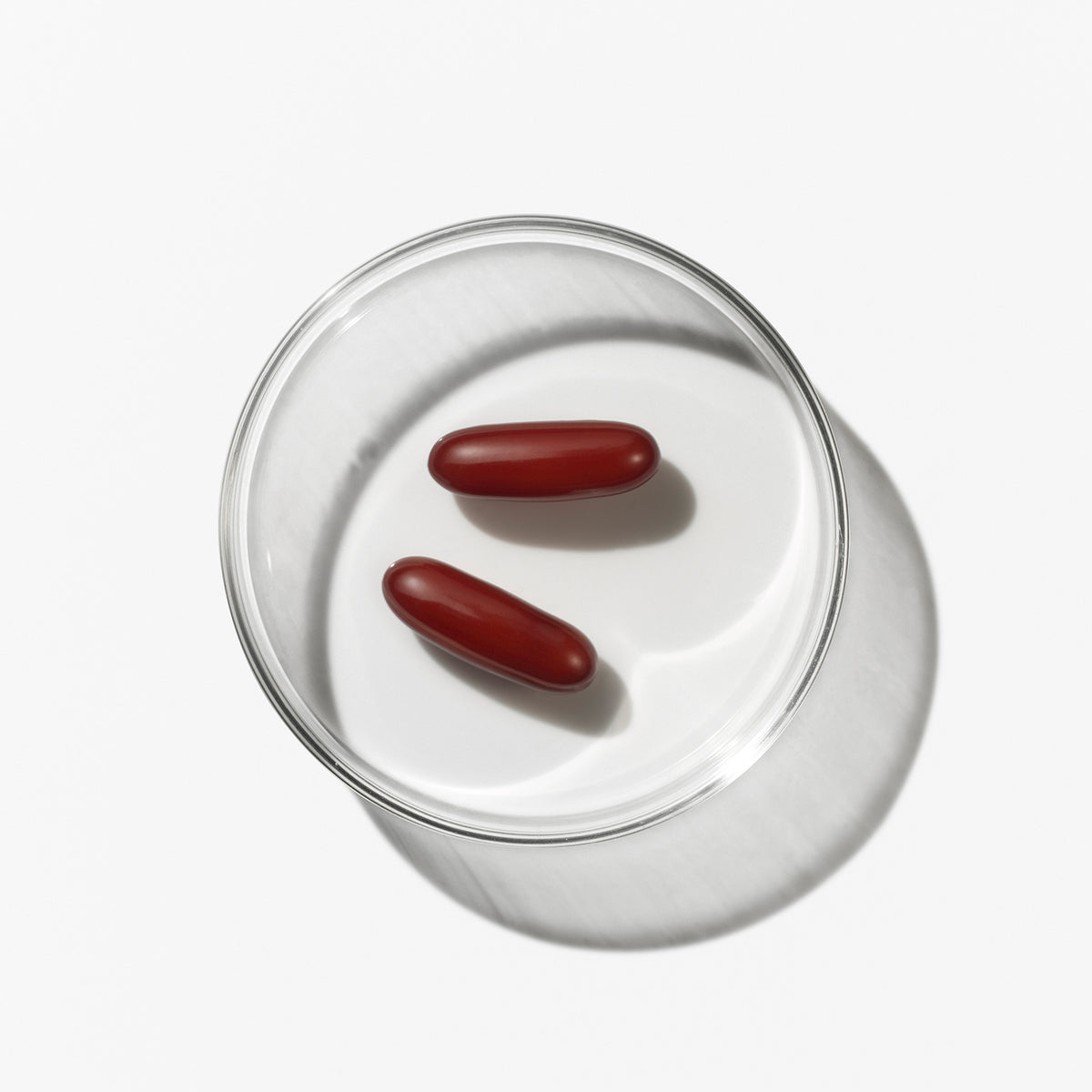Advanced Nutrition Programme - Skin Moisture Lock - Nahrungsergänzung - Advanced Nutrition Programme - Care Concept Onlineshop - Vertrieb für Premium Wirkstoffkosmetik