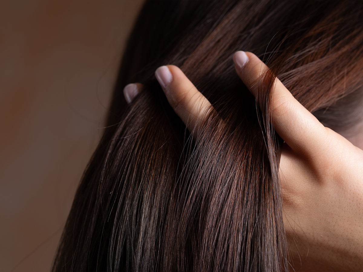 Care Concept Online Shop - ANP - Haare und Nägel