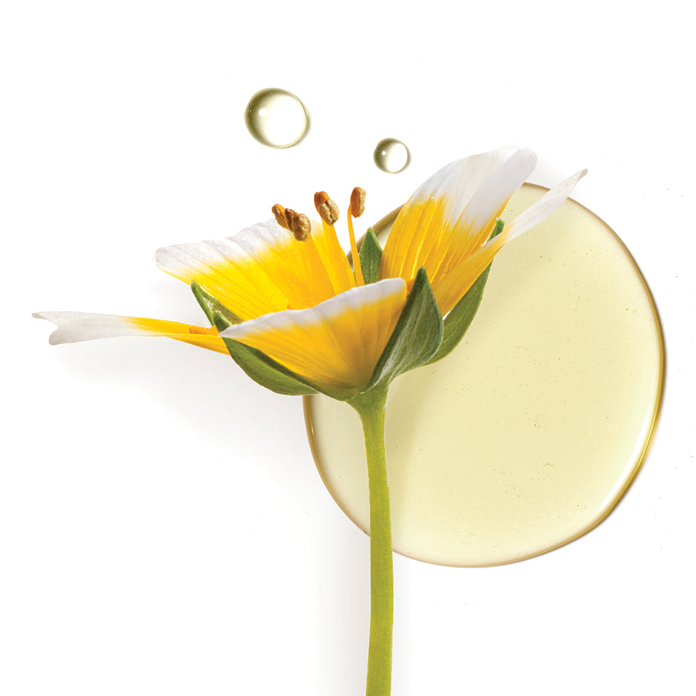 Care Concept Onlineshop - jane iredale - Wiesenschaumkraut-Samenöl