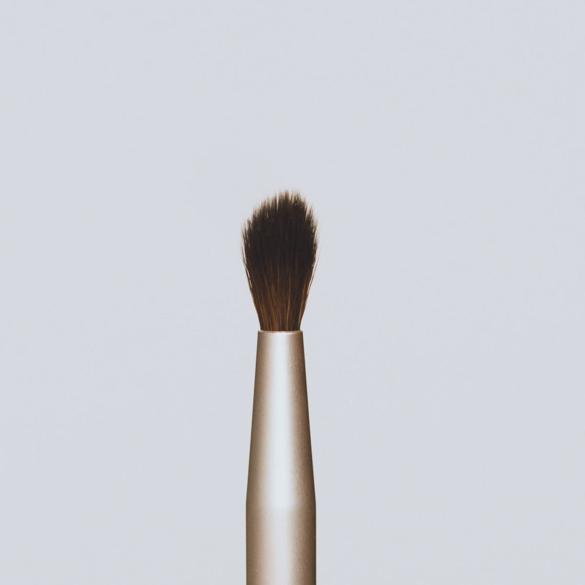 jane iredale - Crease Brush - Lidschatten Pinsel - jane iredale Mineral Make-up - Care Concept Onlineshop - Vertrieb für Premium Wirkstoffkosmetik